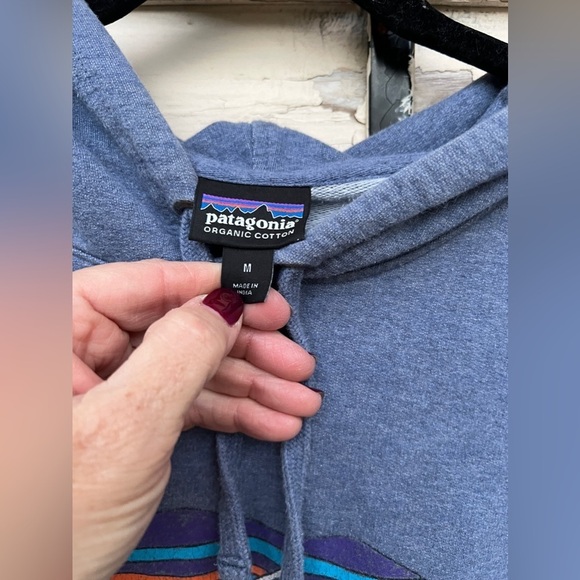 Patagonia Fitz Roy Bear Midweight Sweatshirt Pullover Organic Cotton Hoodie - Picture 7 of 7